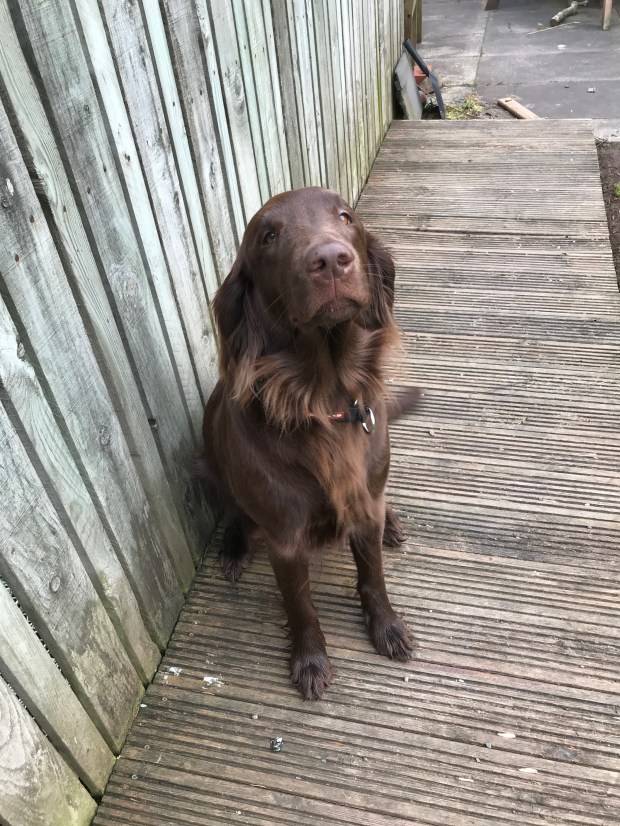 7B790906-1176-455B-A260-C51B02B5C54A