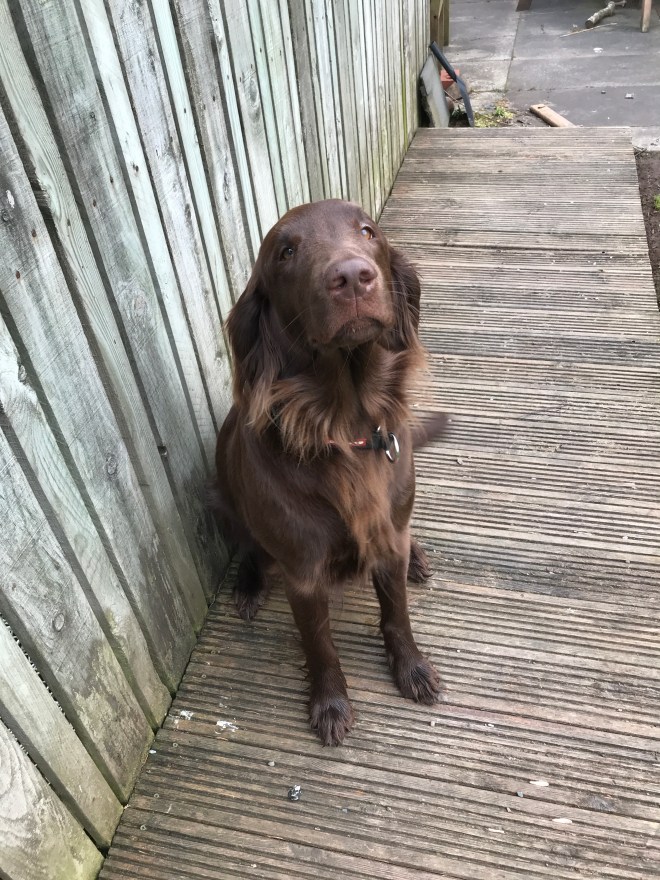 7B790906-1176-455B-A260-C51B02B5C54A